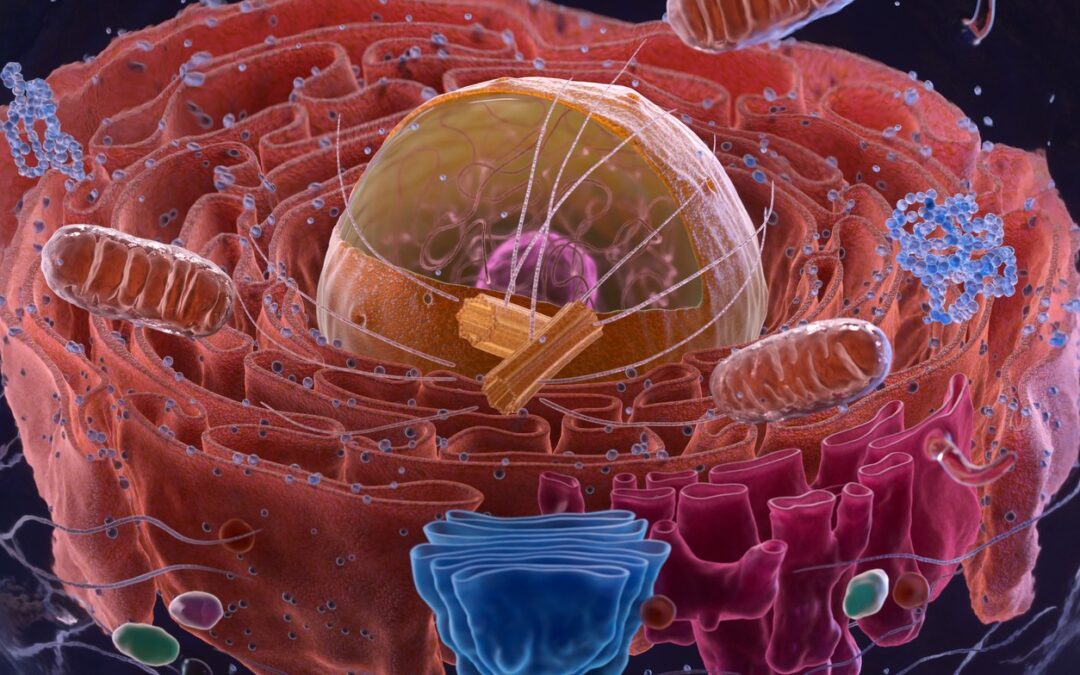 Epitalon: Correlation in DNA Telomeres and Sleep