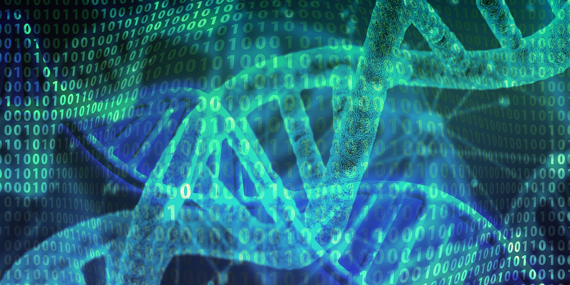 What Are Peptides And What Are They Used For