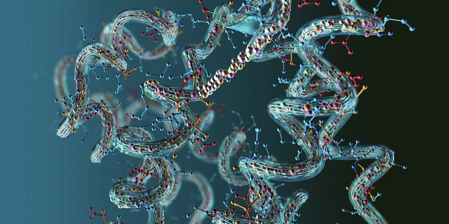 What Are Peptides? What Are Peptides?