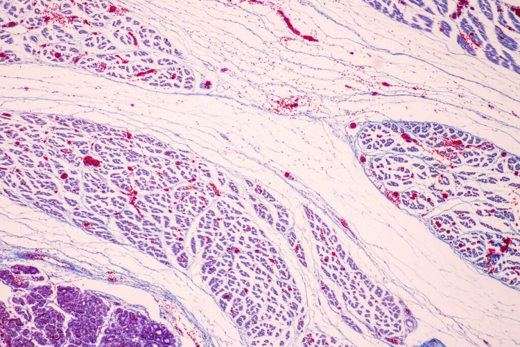 Thyrotropin and Research Regarding Metabolism