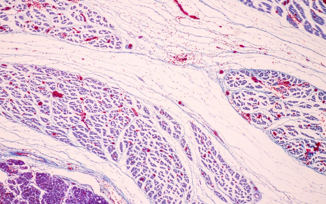 Thyrotropin and Research Regarding Metabolism