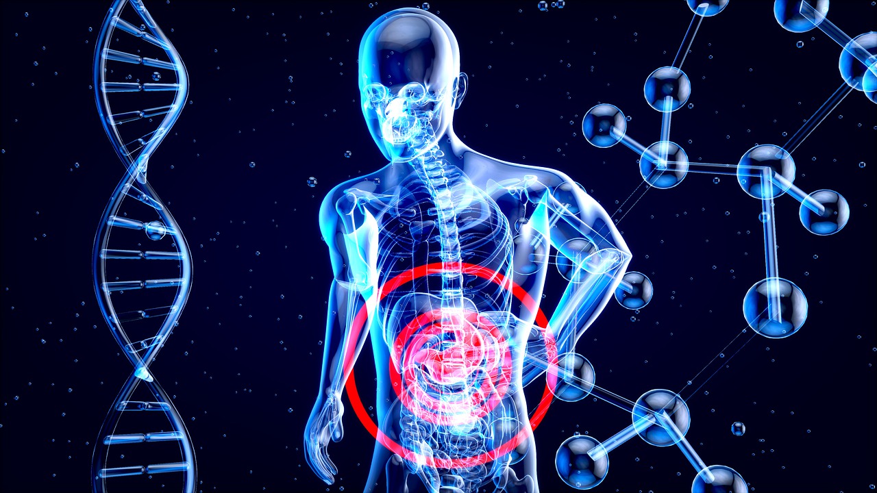 Vasoactive Intestinal Polypeptide (VIP) – A powerful peptide for the bowels Vasoactive Intestinal Polypeptide (VIP) - A powerful peptide for the bowels