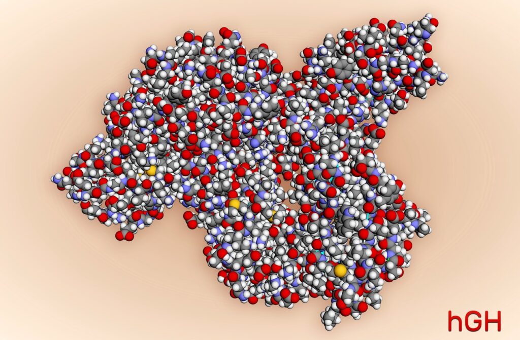 Frag 176-191 and Growth Hormone Interaction