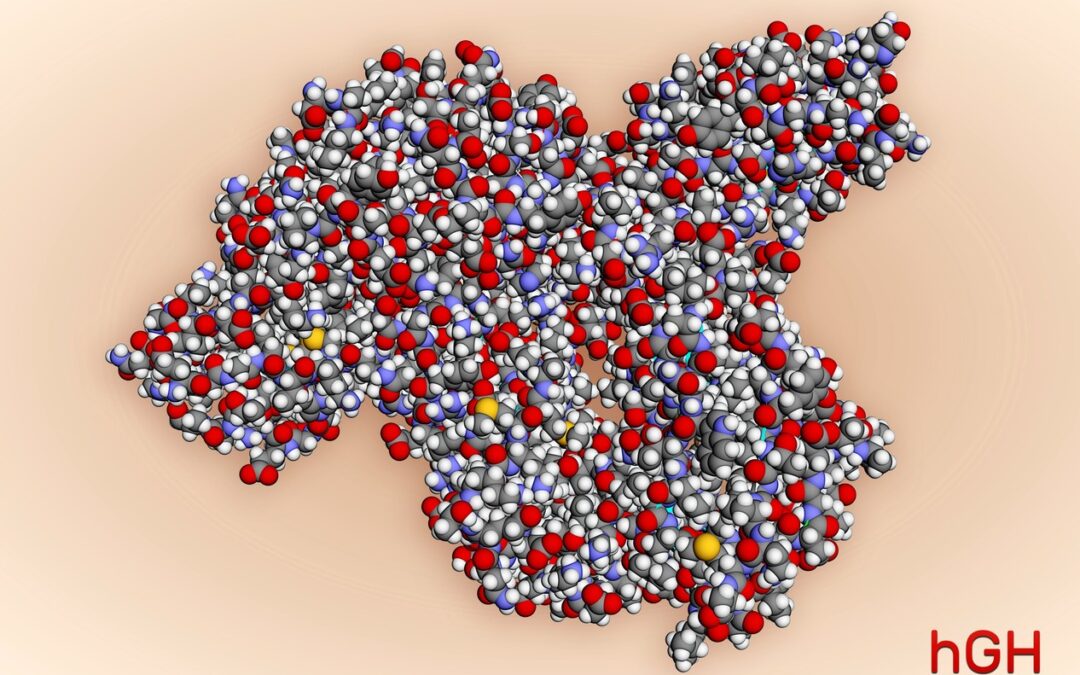 Frag 176-191 and Growth Hormone Interaction