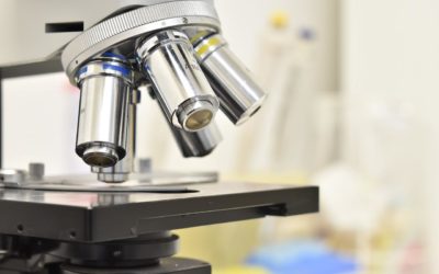 How Are Research Peptides Used?