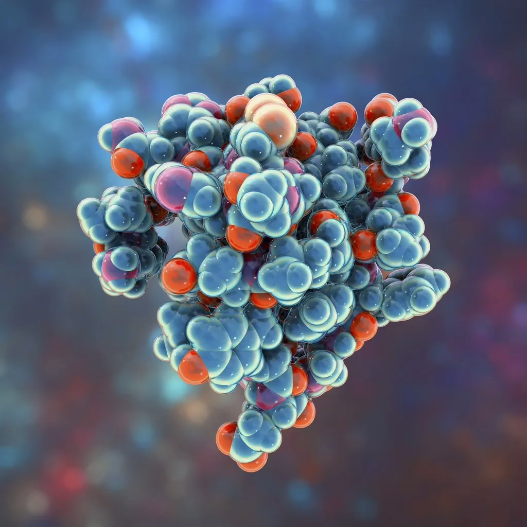 IGF-1 LR3: A Synthetic Model of the Insulin-like Growth Hormone