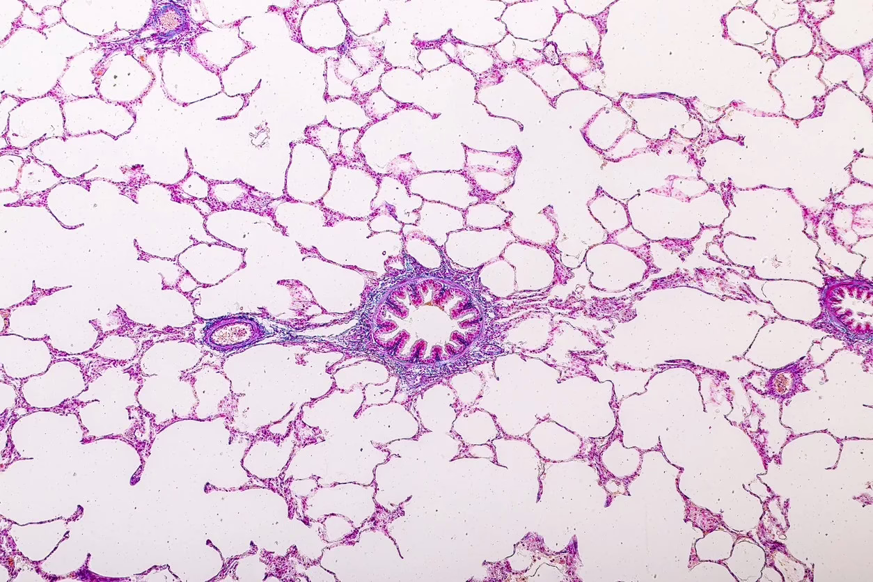 Sermorelin & Ipamorelin Blend Potential Analogues of Growth Hormone Sermorelin & Ipamorelin Blend Potential Analogues of Growth Hormone
