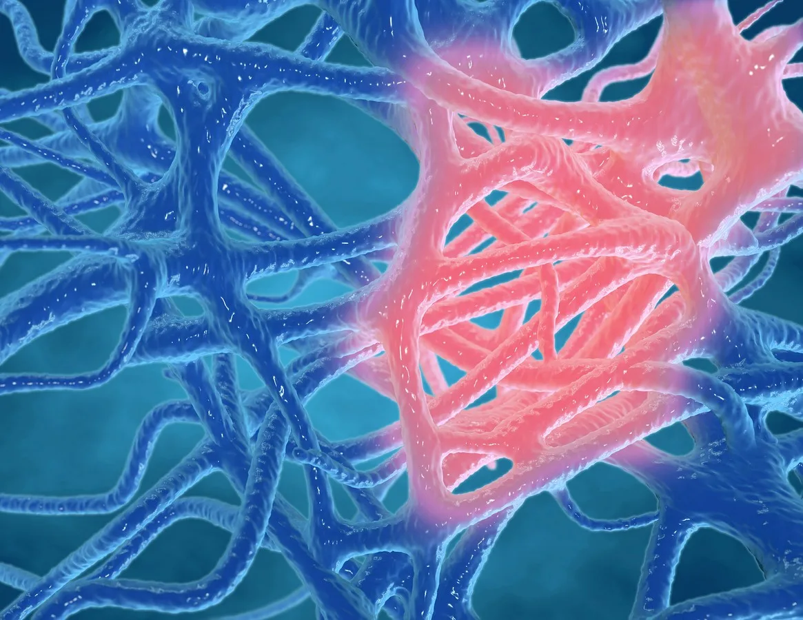 GHK Basic Studies in Tissue Degeneration and Inflammation