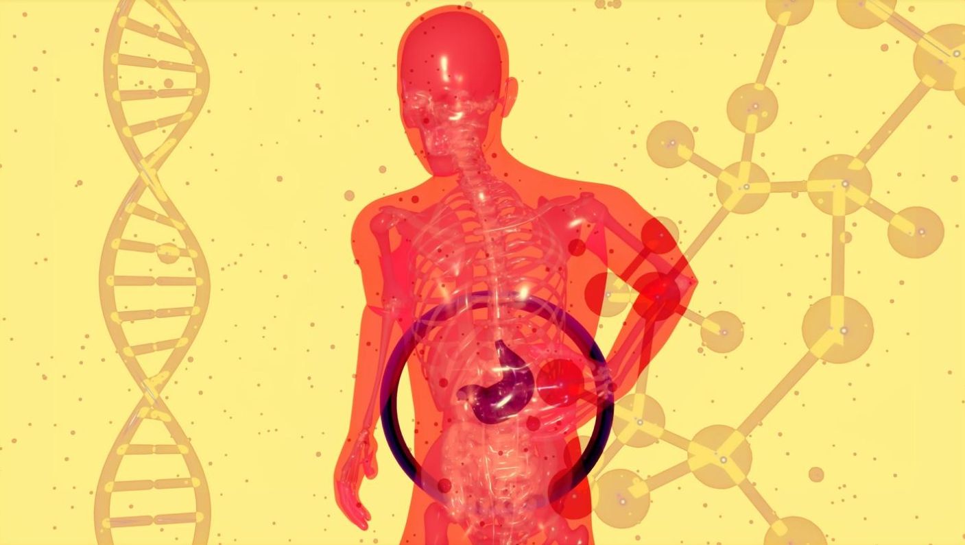 L-Glutathione and its Efficacy in the Liver, Brain, and Skin L-Glutathione and its Efficacy in the Liver, Brain, and Skin