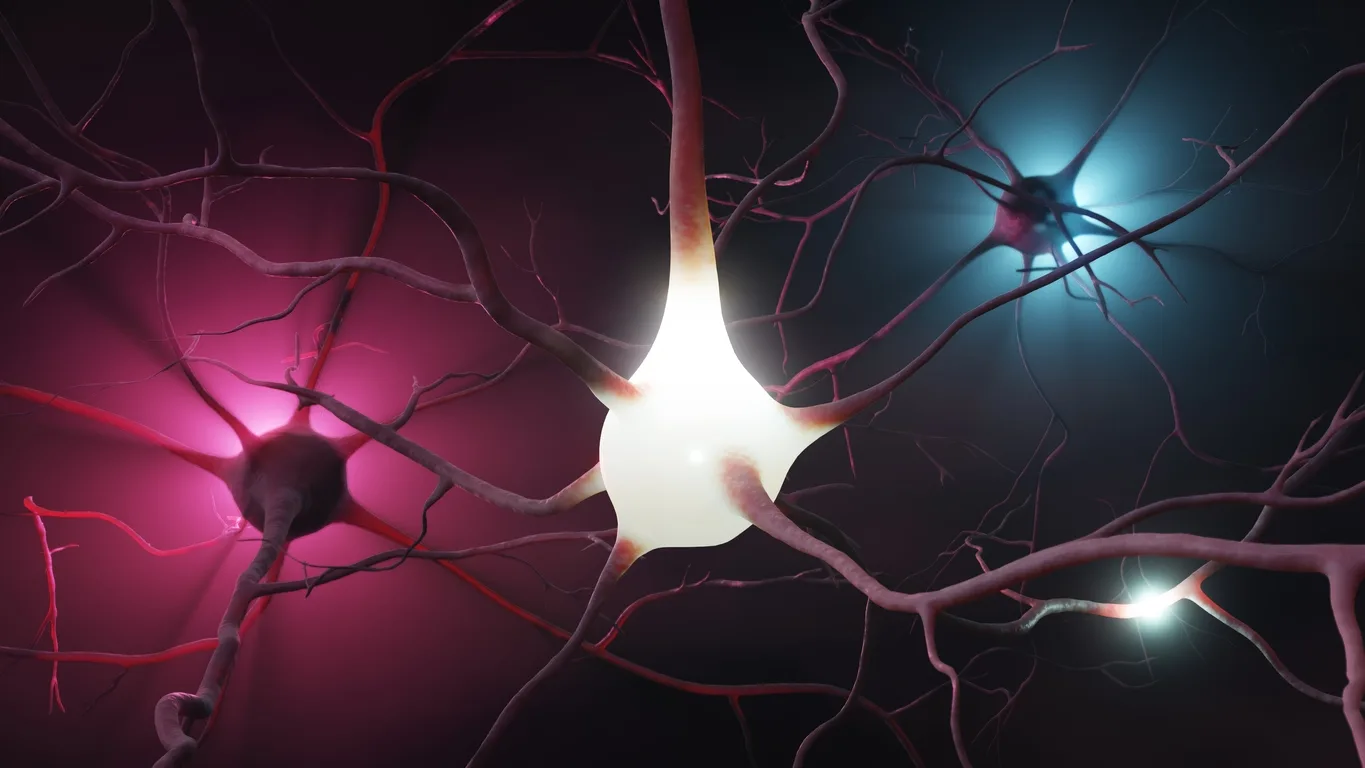 Research in BPC-157 and The Digestive and Nervous Systems