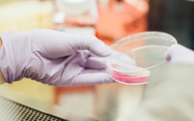 Sermorelin Peptide Potential as a Growth Hormone Secretagogue