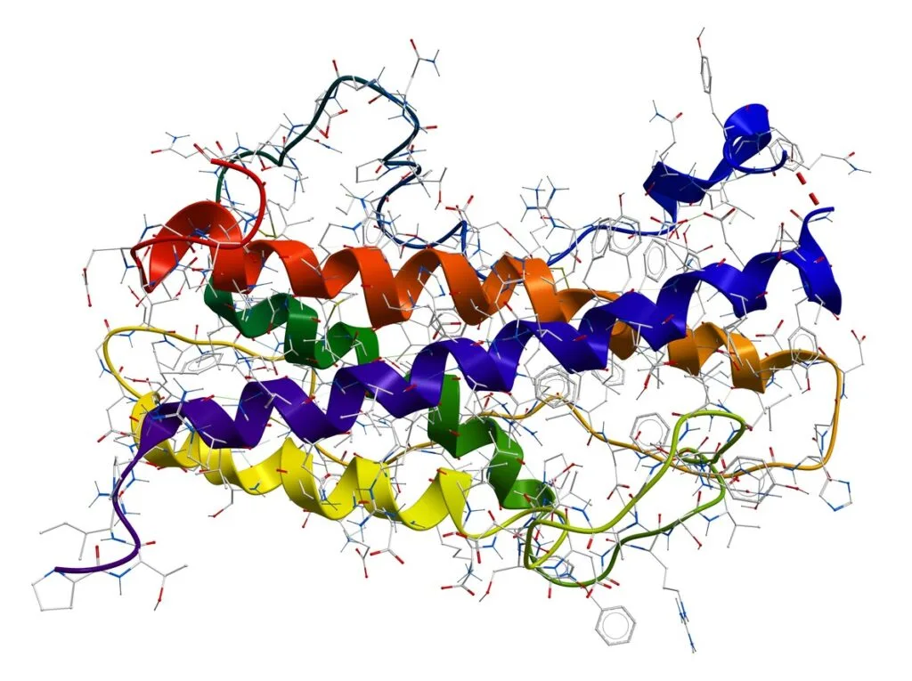 Tesamorelin & Ipamorelin Blend Studying their Potential in Growth Hormone Production