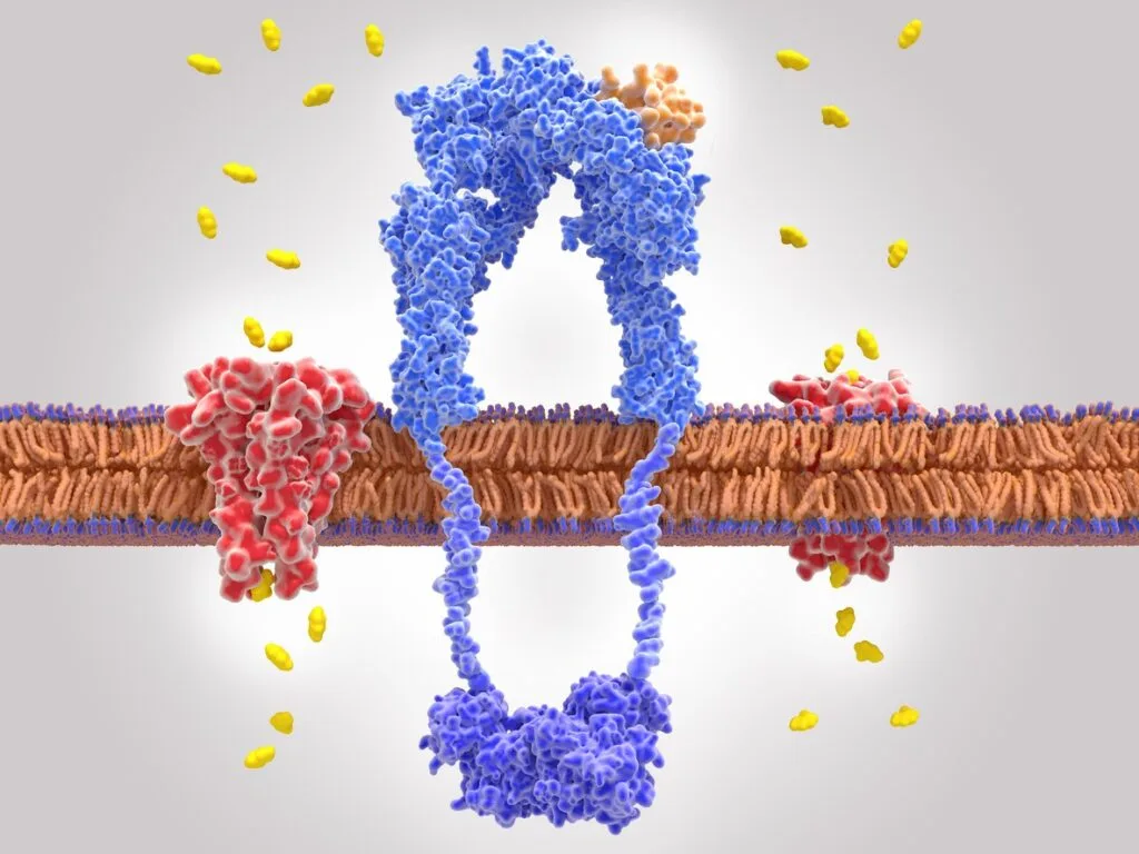 Retatrutide Peptide, and Advances in Energy Intake and Metabolism Research