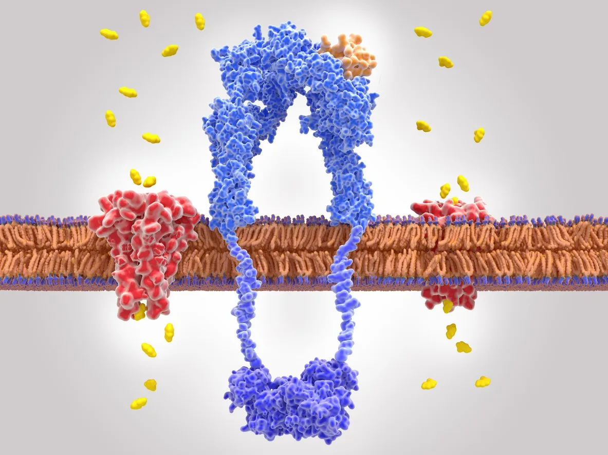 Retatrutide Peptide, and Advances in Energy Intake and Metabolism Research