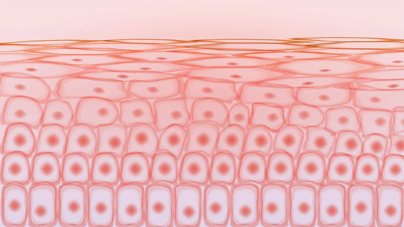 Vialox Peptide Neuromuscular Transmission and Skin Wrinkle Reduction