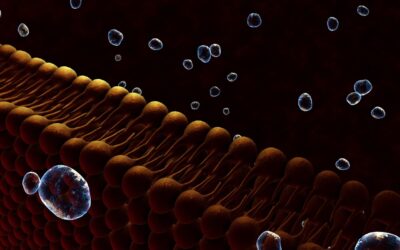 Tesamorelin Peptide: Lipid Metabolism and Muscular Tissue Modulation