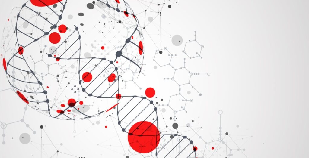 Liraglutide Peptide Potential in Obesity and Diabetes Research