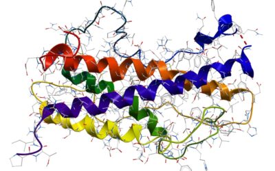 Pralmorelin Peptide and Growth Hormone Secretegogue Receptors (GHS-Rs)