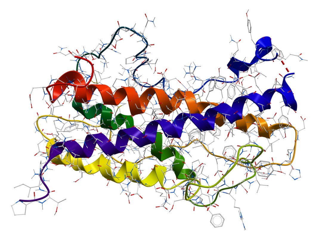 Pralmorelin Peptide & Growth Hormone Secretegogue Receptors