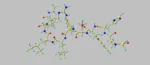 KP-10 Studies on Neuroprotection and Emotional Processing