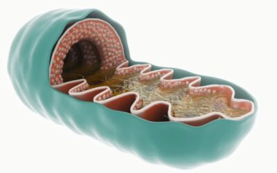 Chonluten (T-34) Peptide: Inflammation, Gene Expression Regulation & Oxidative Stress Modulation