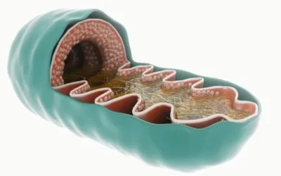 Chonluten (T-34) Peptide: Inflammation, Gene Expression Regulation & Oxidative Stress Modulation