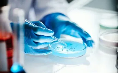 Frag 176-191: Insights from Lipolytic, Osteoarthritic, and Oncologic Models