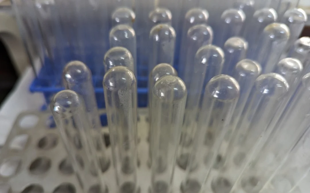 Tripeptide-1: Antioxidant, Anti-Inflammatory, and Regenerative Research