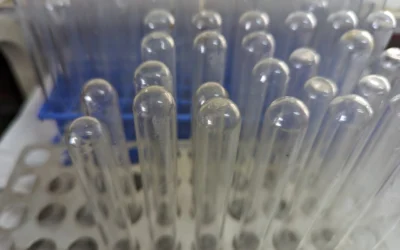 Tripeptide-1: Antioxidant, Anti-Inflammatory, and Regenerative Research