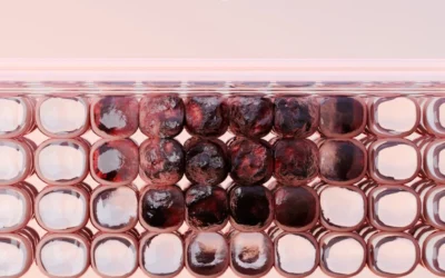 Decapeptide-12 and Tyrosinase: Interactions in Dermatological Studies