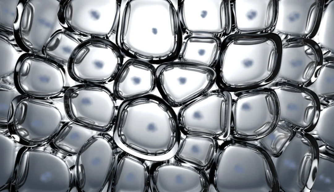 Syn-Coll Tripeptide and Skin Cell Architecture