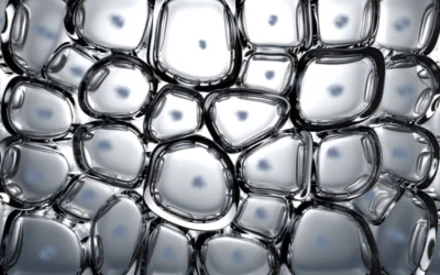 Syn-Coll Tripeptide and Skin Cell Architecture