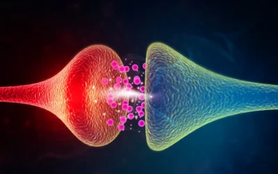 BPC-157& TB-500 & GHK-Cu Peptide Blend: Mechanistic Insights into Regenerative Signaling Networks