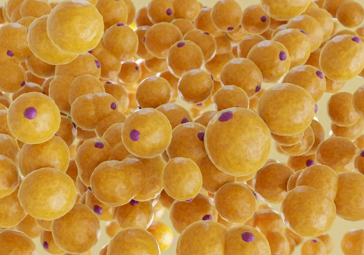 hgh fragment 176-191 vs ipamorelin Fragment 176-191, Modified GRF 1-29, and Ipamorelin Blend