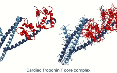 AEDR Peptide (Cardiogen): Molecular Characterization, Cardiac-Tissue Epigenetic Regulation, and Preclinical Research